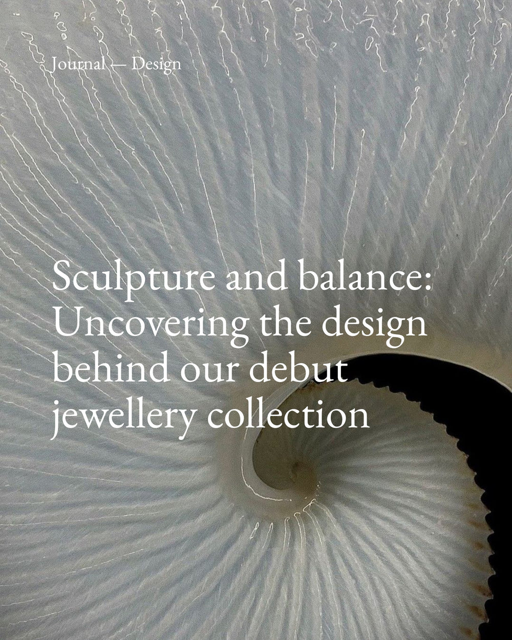 Sculpture and Balance: Uncovering the Design Behind our Debut Jewellery Collection