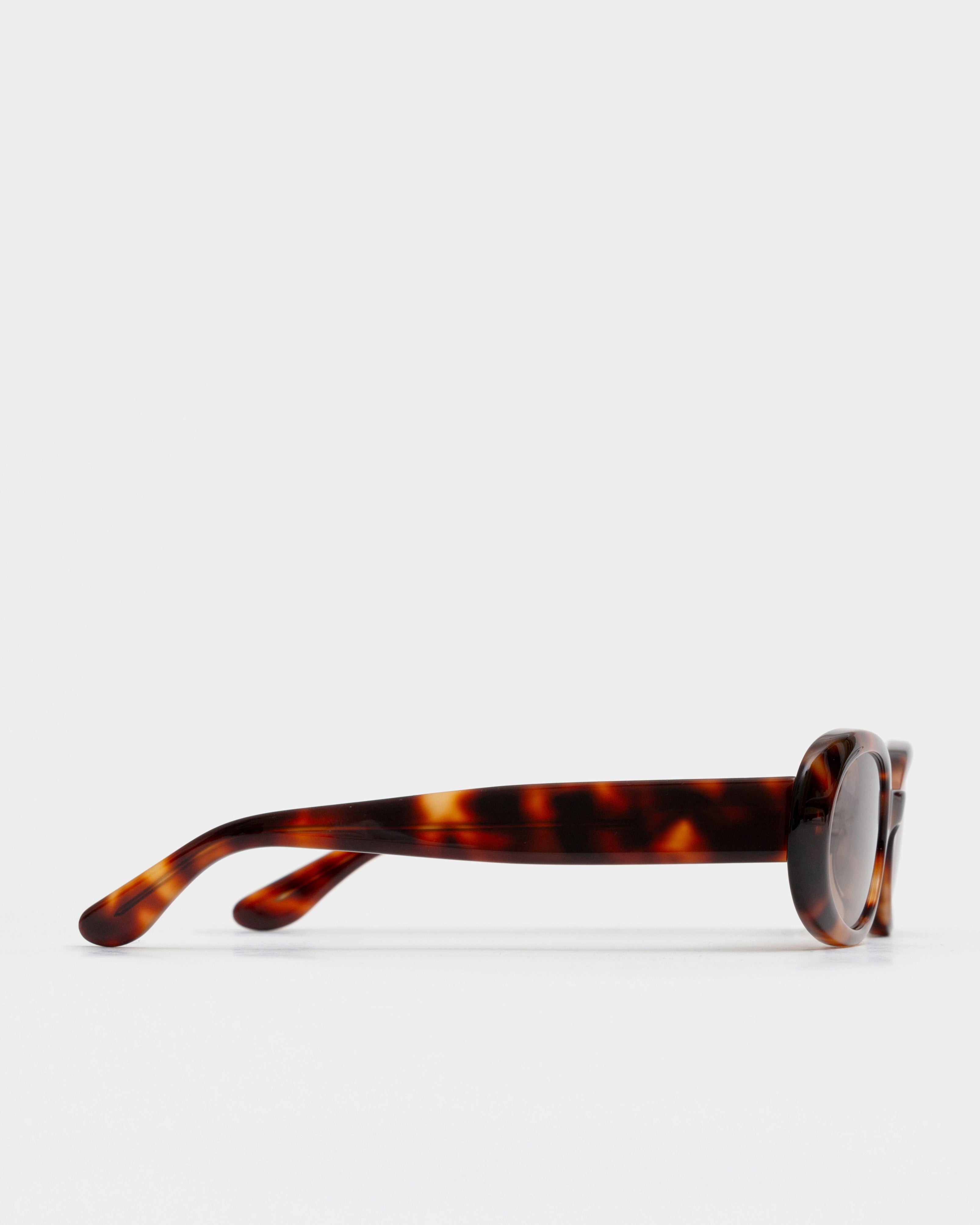 Valentina Havana Sunglasses — DMY Studios