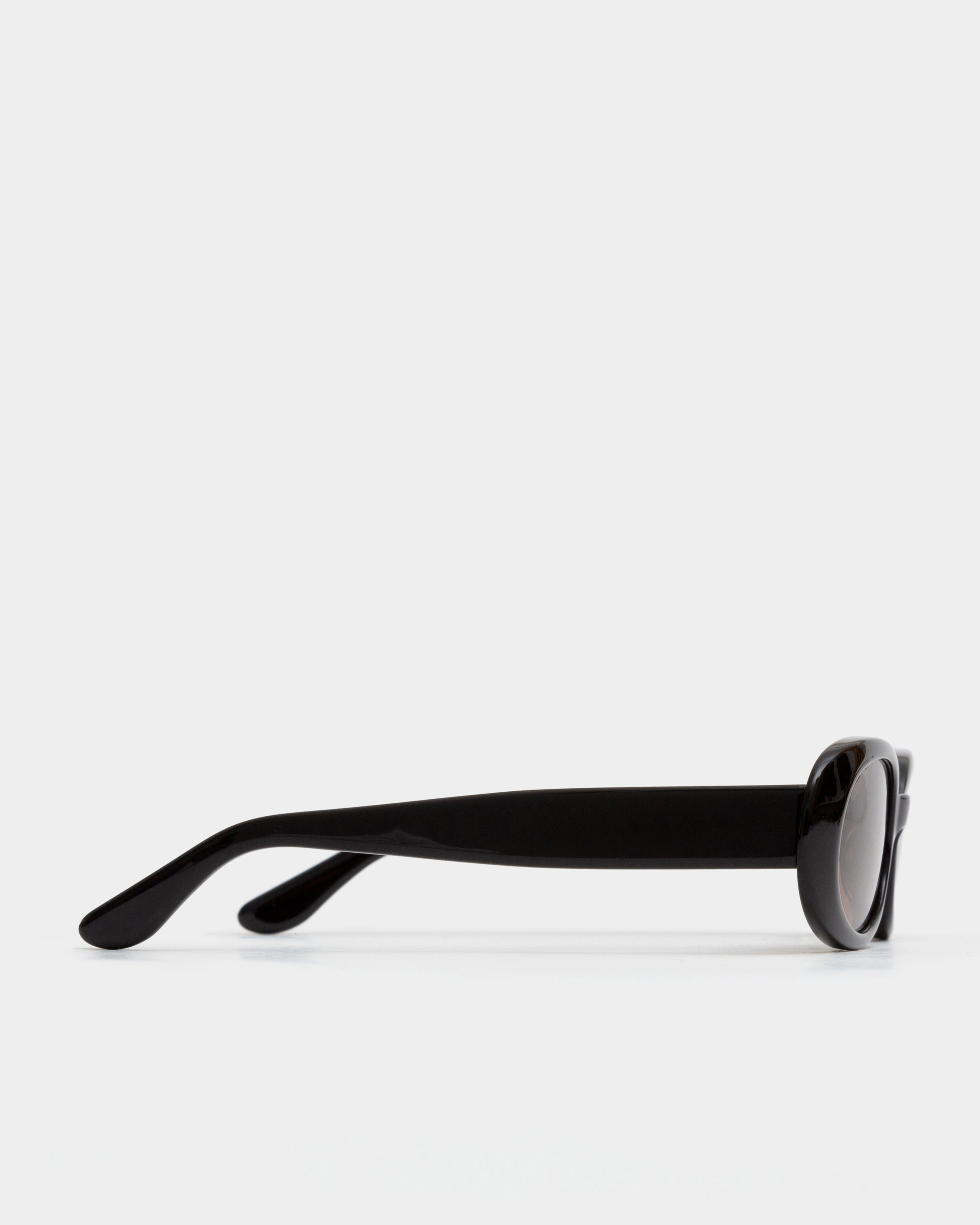 Valentina Black Sunglasses — DMY Studios