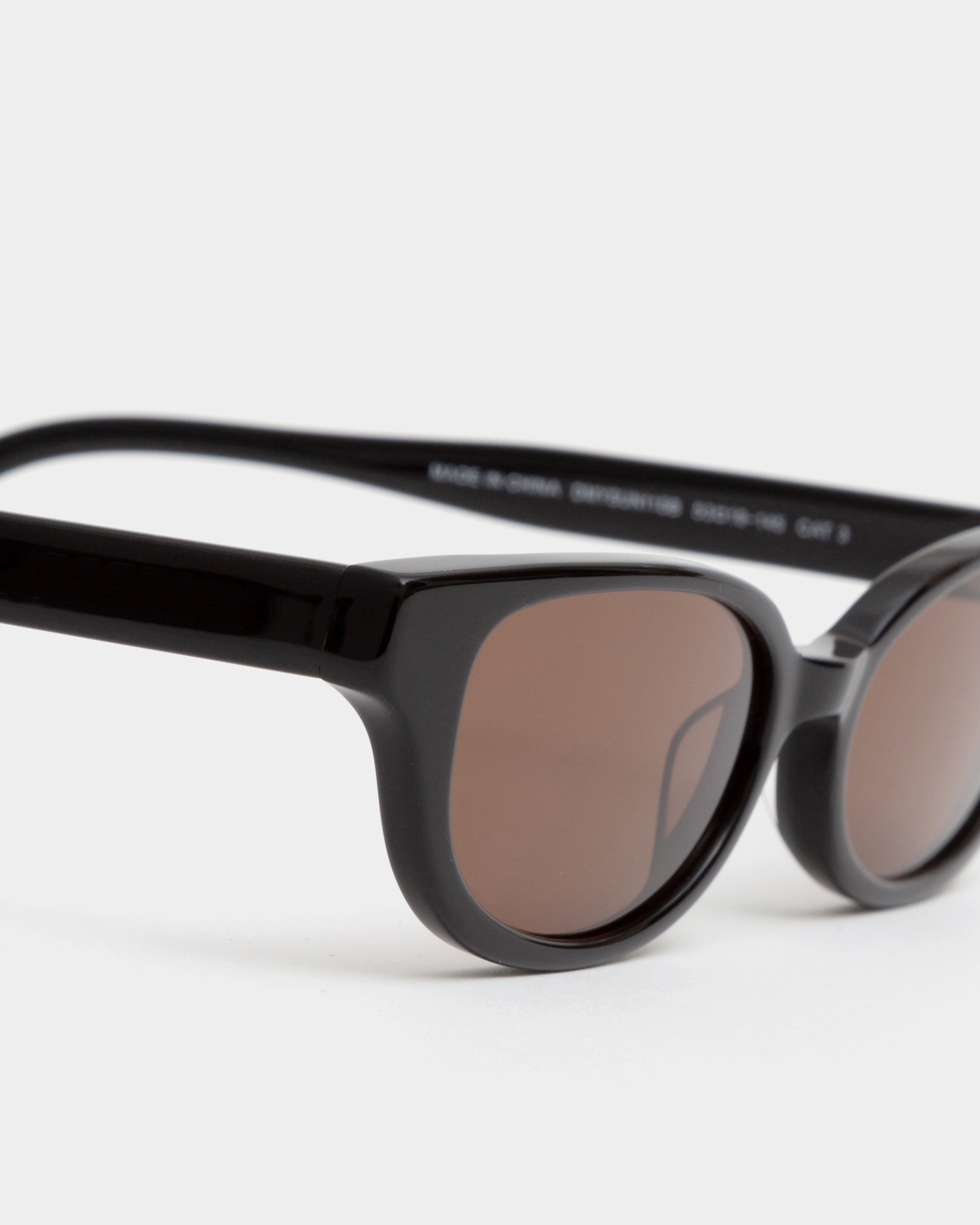 Romi Black Sunglasses — DMY Studios