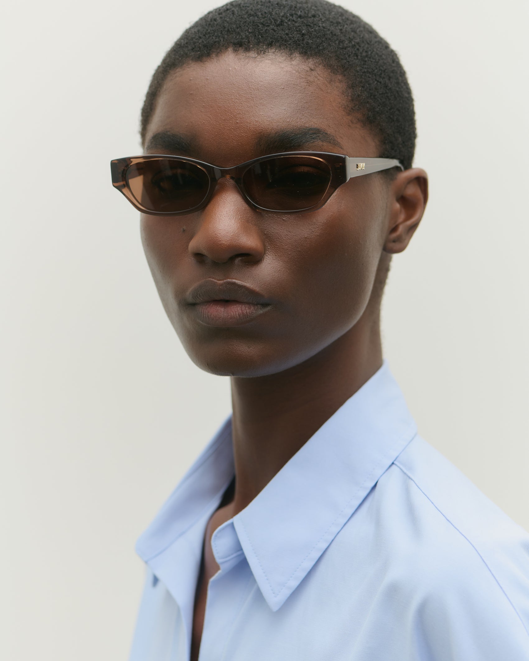 Suki Transparent Brown Sunglasses
