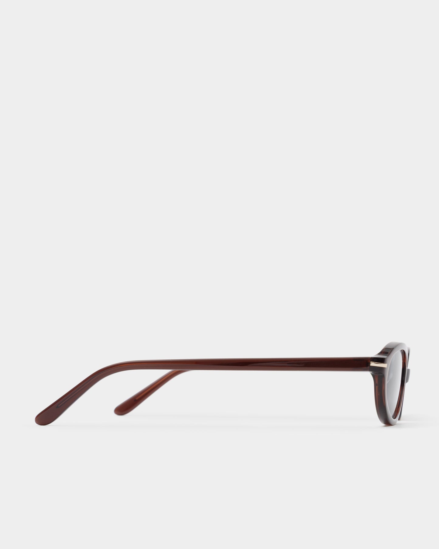 Noor Transparent Mahogany Sunglasses