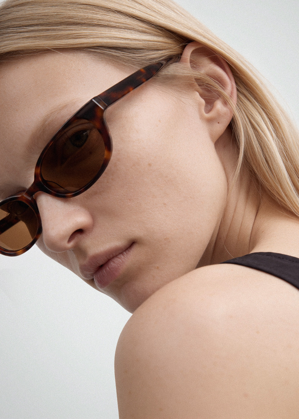 美品 DMY studios Romi サングラス ディーエムワイ Romi Havana Sunglasses — DMY Studios